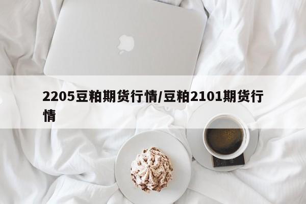 2205豆粕期货行情/豆粕2101期货行情