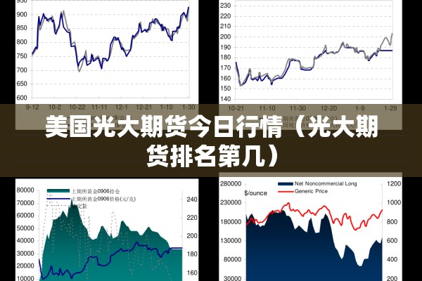 美国光大期货今日行情（光大期货排名第几）
