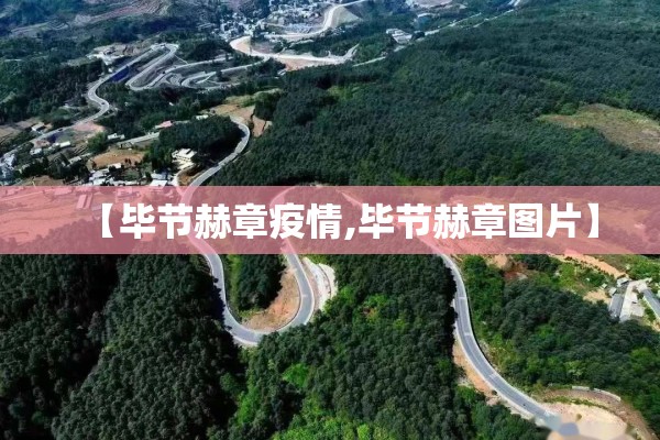 武汉疫情作文600字（武汉疫情 作文）