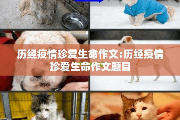 历经疫情珍爱生命作文:历经疫情珍爱生命作文题目