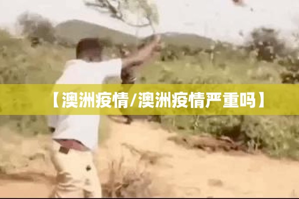 猪瘟最新疫情/猪瘟最新动态