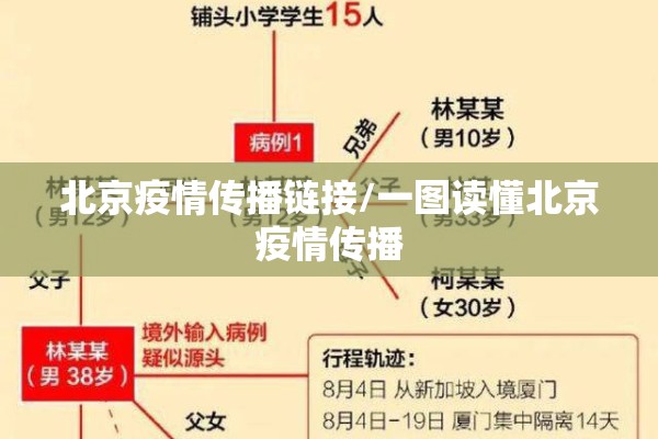 北京疫情传播链接/一图读懂北京疫情传播
