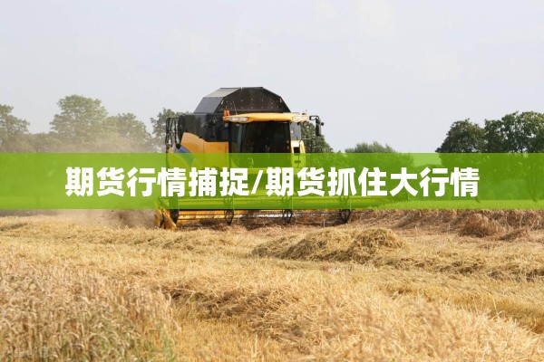 期货行情捕捉/期货抓住大行情 期货行情捕捉/期货抓住大行情
