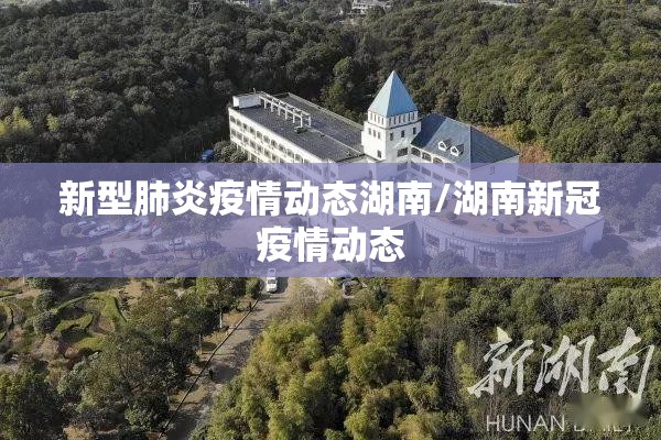 新型肺炎疫情动态湖南/湖南新冠疫情动态 新型肺炎疫情动态湖南/湖南新冠疫情动态