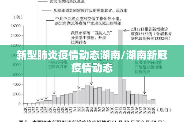 北京日报直播疫情（北京日报最新疫情）