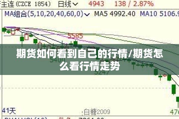 粮食期货行情走势图今天:粮食期货交易市场