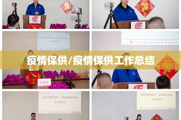 疫情保供/疫情保供工作总结