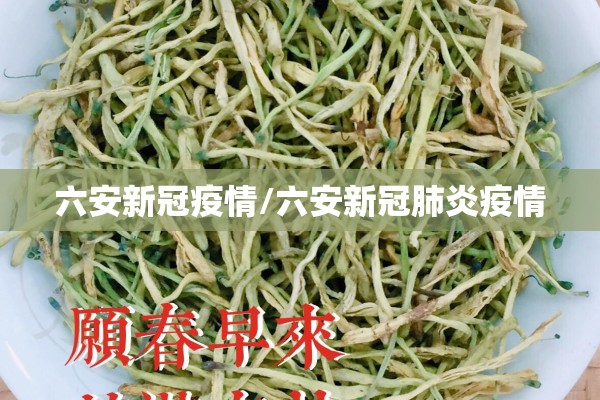 2020年山东疫情/2020年山东疫情隔离通知文件