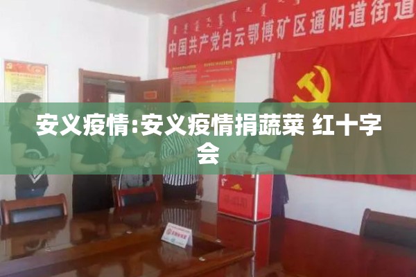 安义疫情:安义疫情捐蔬菜 红十字会