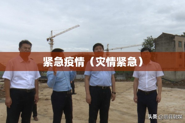 疫情登记表模板下载/疫情登记表怎么制作