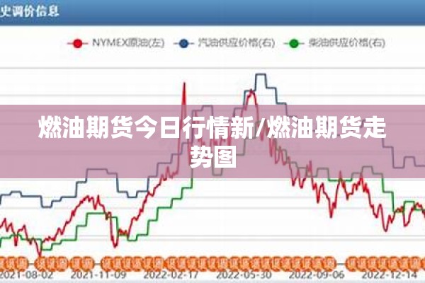 广州市最新疫情问责/广州市疫情最新报道