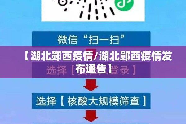 【湖北郧西疫情/湖北郧西疫情发布通告】
