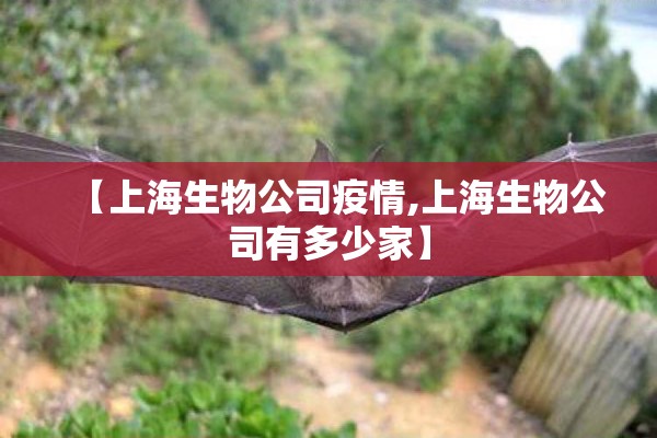 安迪期货行情/安迪期货行情走势