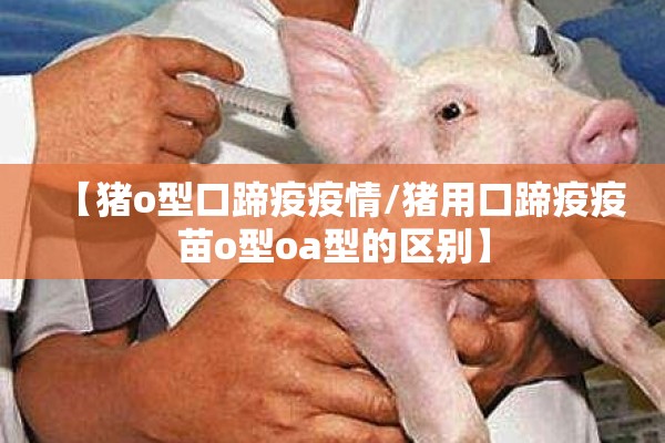 【期货行情分析详解图片/期货行情分析网】