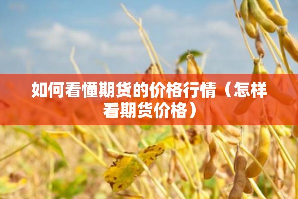 如何看懂期货的价格行情（怎样看期货价格）