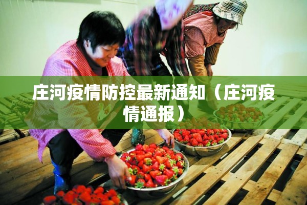 【张文宏谈瑞丽疫情防控,张文宏 疫情防控】
