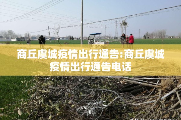 庄河疫情防控最新通知（庄河疫情通报）