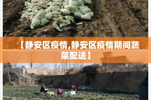 【疫情期间企业管理,疫情期间企业的经营管理策略】