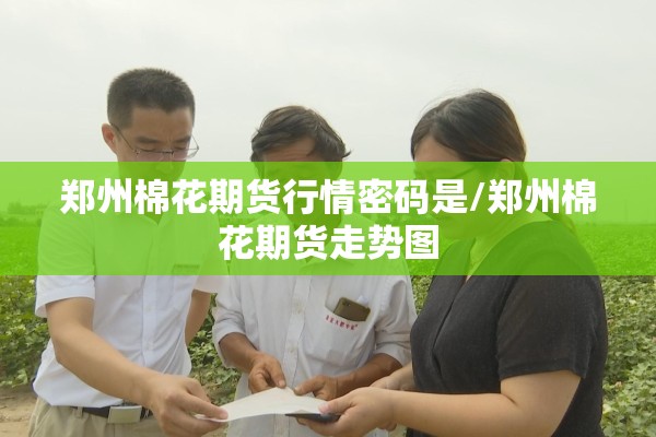 郑州棉花期货行情密码是/郑州棉花期货走势图