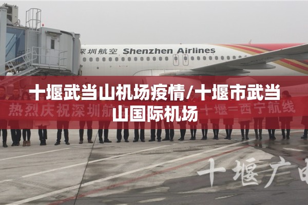 乌克兰战争期货行情好吗:乌克兰战争爆发