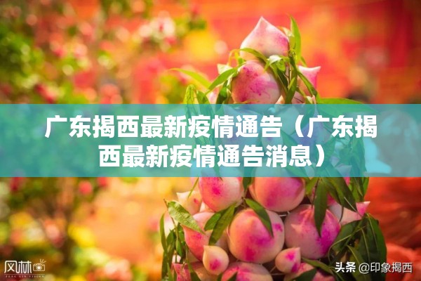 武汉疫情手抄报模板/武汉疫情小手报