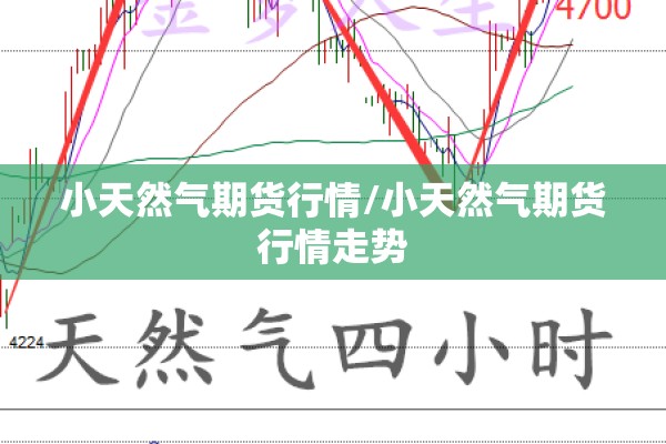 小天然气期货行情/小天然气期货行情走势