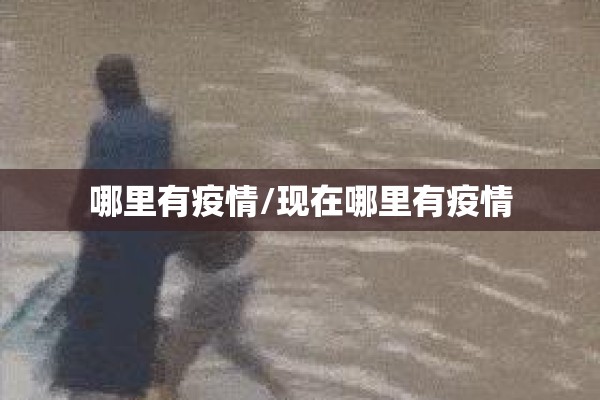 哪里有疫情/现在哪里有疫情