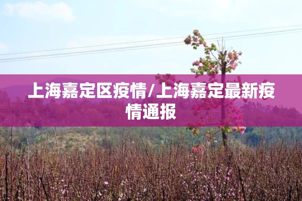 上海嘉定区疫情/上海嘉定最新疫情通报