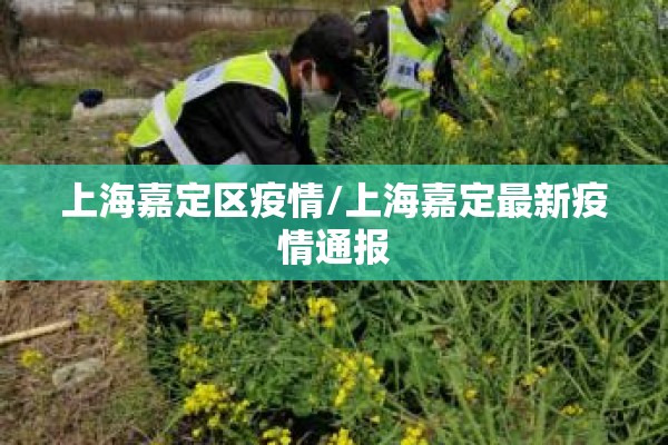 【疫情通讯稿/疫情相关通讯稿】