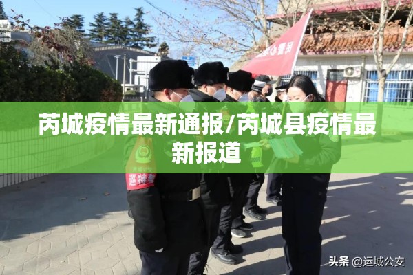 安迪期货行情/安迪期货行情走势