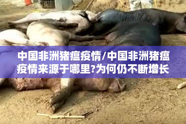 疫情破产的航空公司（疫情后的航空公司）
