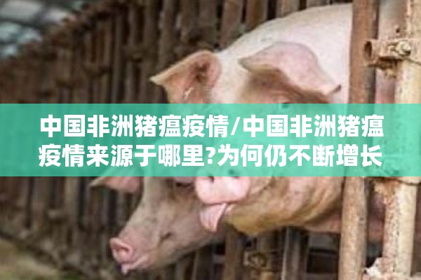 中国非洲猪瘟疫情/中国非洲猪瘟疫情来源于哪里?为何仍不断增长?官方回应