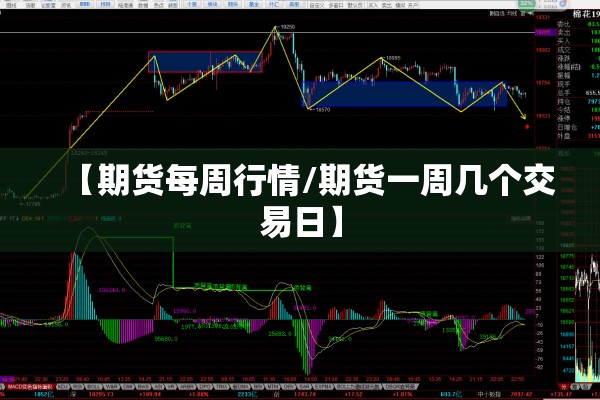 中国非洲猪瘟疫情/中国非洲猪瘟疫情来源于哪里?为何仍不断增长?官方回应