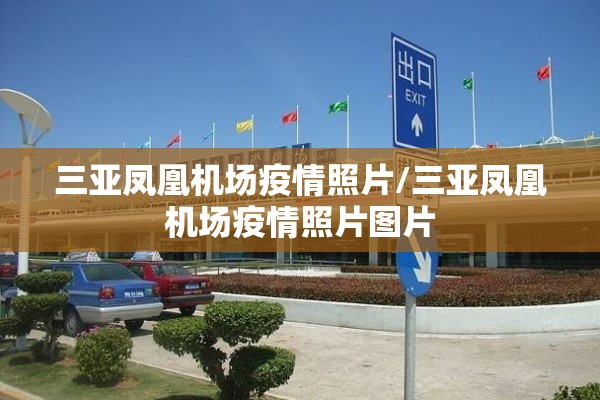 【解读期货行情,解读期货行情的app】