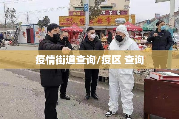 疫情街道查询/疫区 查询