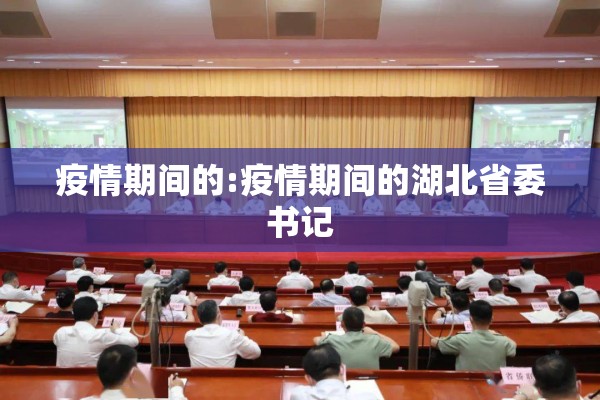 疫情期间的:疫情期间的湖北省委书记