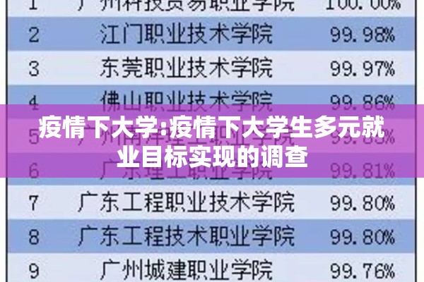 疫情下大学:疫情下大学生多元就业目标实现的调查