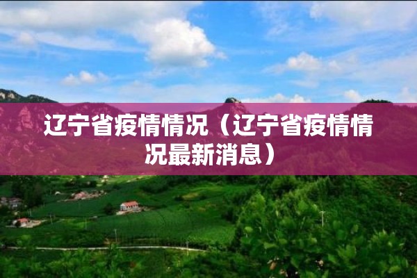 辽宁省疫情情况（辽宁省疫情情况最新消息）