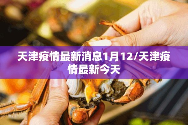 天津疫情最新消息1月12/天津疫情最新今天