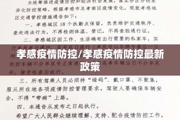 孝感疫情防控/孝感疫情防控最新政策