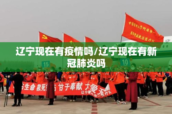 辽宁现在有疫情吗/辽宁现在有新冠肺炎吗