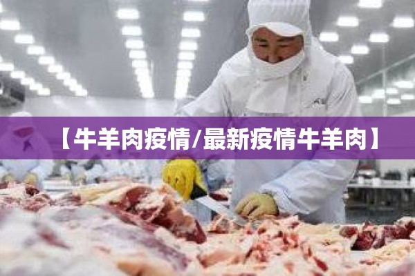 【今螺纹钢期货行情/今螺纹钢期货行情走势】