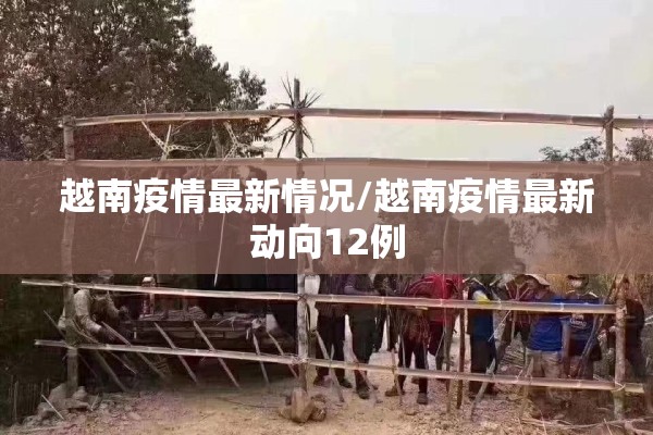 越南疫情最新情况/越南疫情最新动向12例