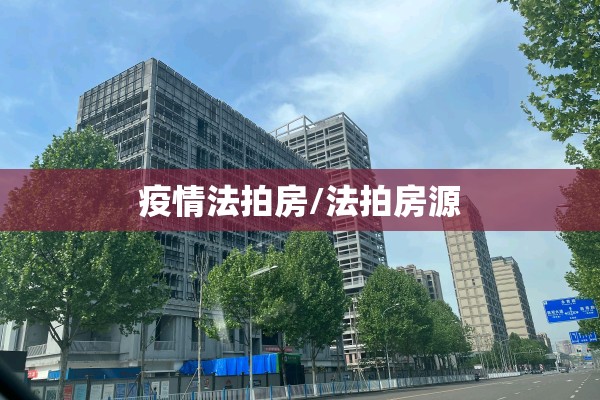 疫情法拍房/法拍房源