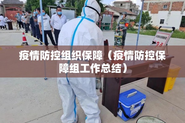 疫情防控组织保障（疫情防控保障组工作总结）
