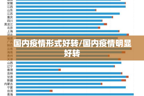 国内疫情形式好转/国内疫情明显好转