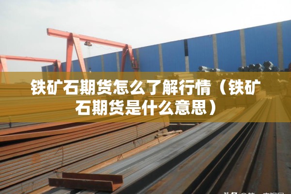哈尔滨疫情江莎莎照片:哈尔滨疫情江莎莎资料