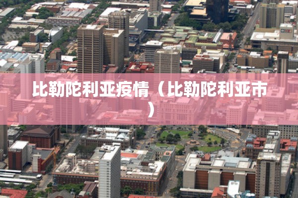 比勒陀利亚疫情（比勒陀利亚市）