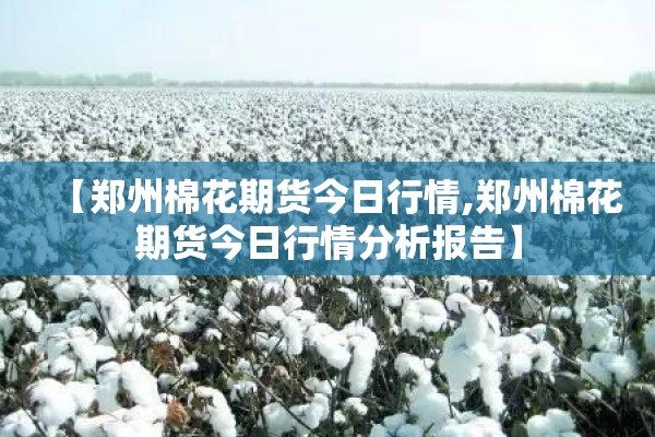 【郑州棉花期货今日行情,郑州棉花期货今日行情分析报告】