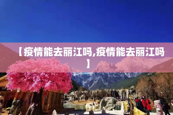 期货行情苹果/期货苹果分析走势
